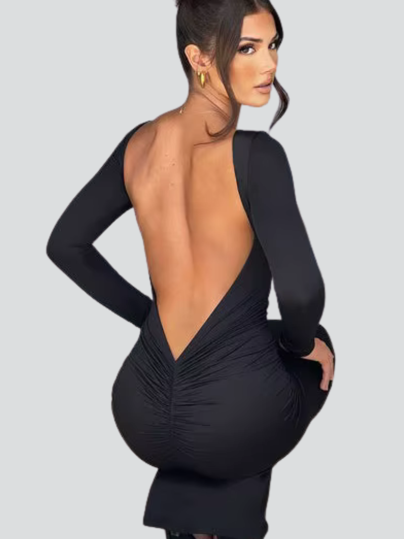 Long Sleeve Backless Bodycon Maxi Dress